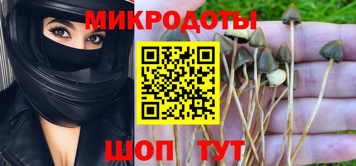 Кимры  Псилоцибиновые грибы GOLDEN TEACHER  Вход с VPN 